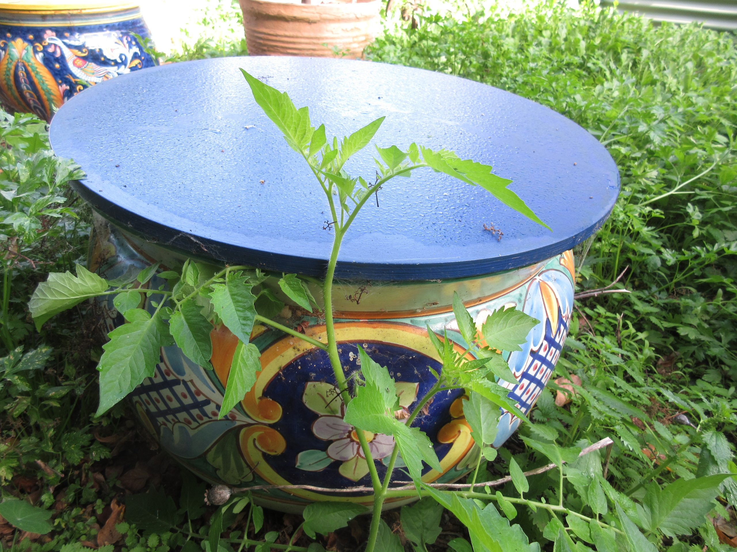 You are currently viewing Wordless Wednesday: Christmas Eve