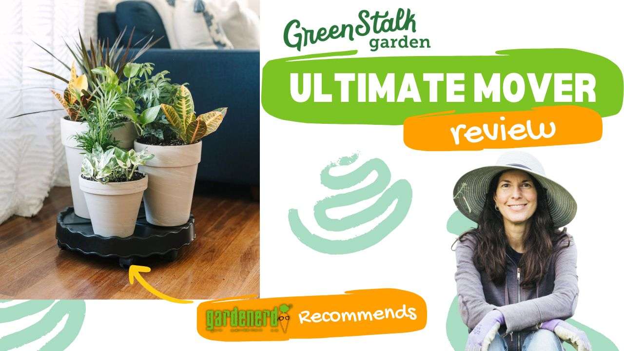 Read more about the article Review: Greenstalk Ultimate Mover
