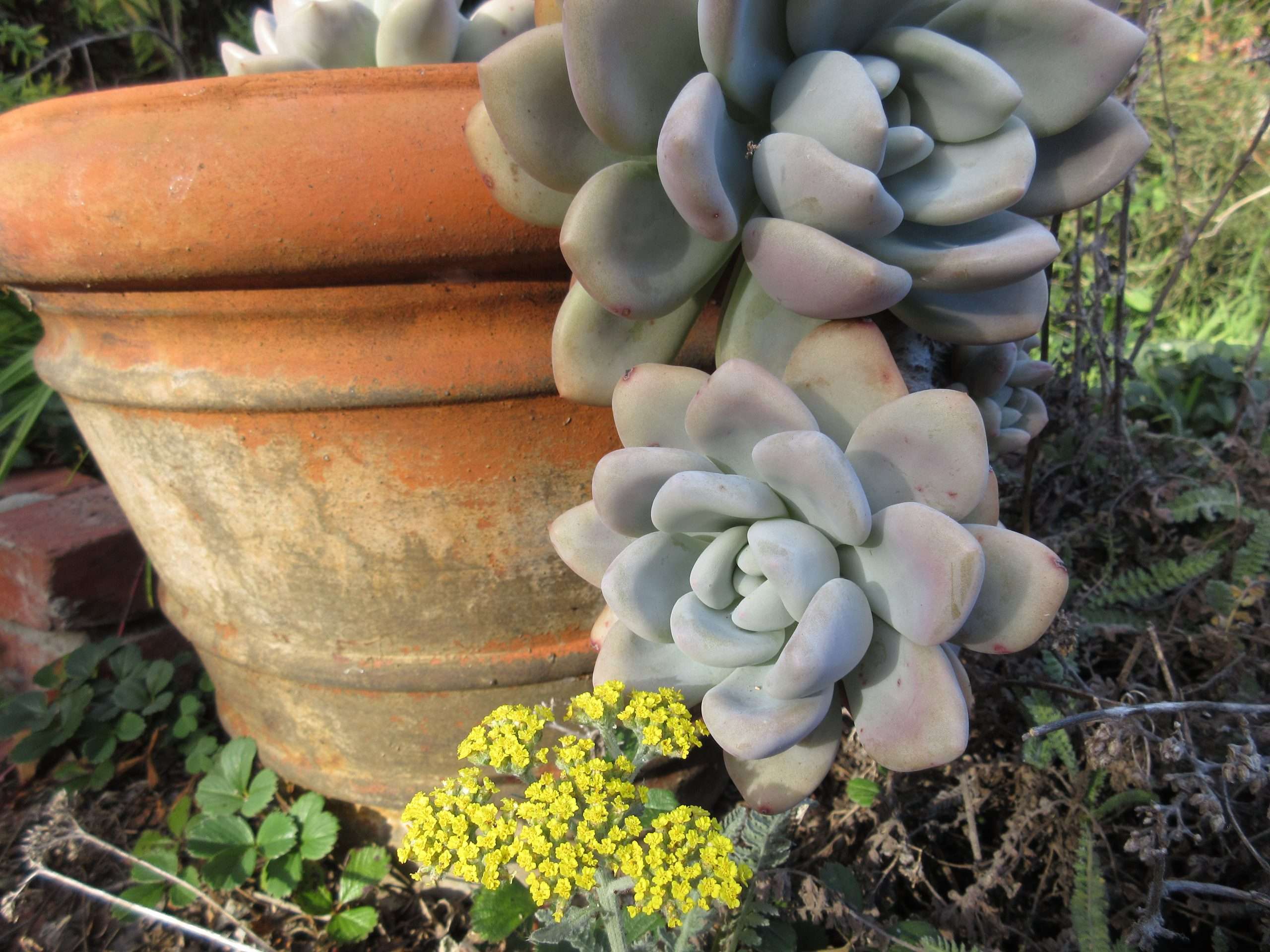 Read more about the article Wordless Wednesday: March Madness