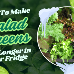 YouTube: Make Your Greens Last Longer After Harvest