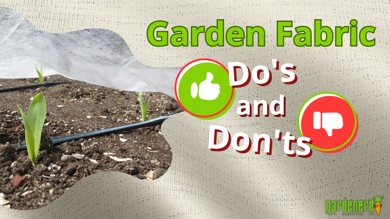 Read more about the article YouTube: Garden Fabric Explained – How Floating Row Cover Works