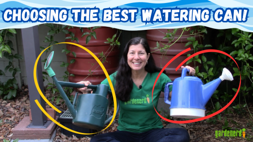 Read more about the article YouTube: Best Watering Can for the Job
