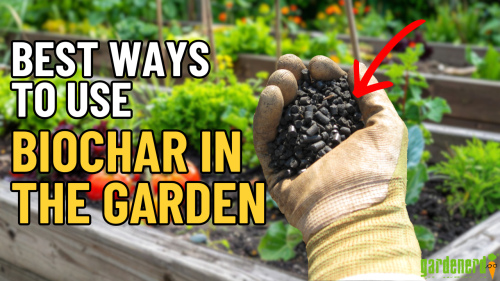 Read more about the article YouTube: Best Way to Use Biochar in the Garden