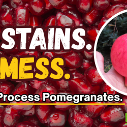 YouTube: How to Process Pomegranates – No Mess!