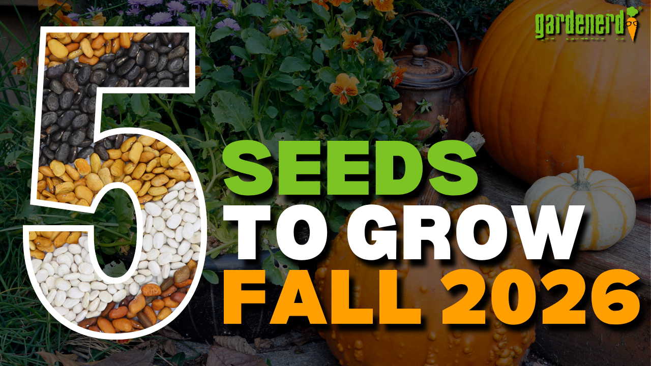 You are currently viewing YouTube: 5 Seeds to Grow This Fall