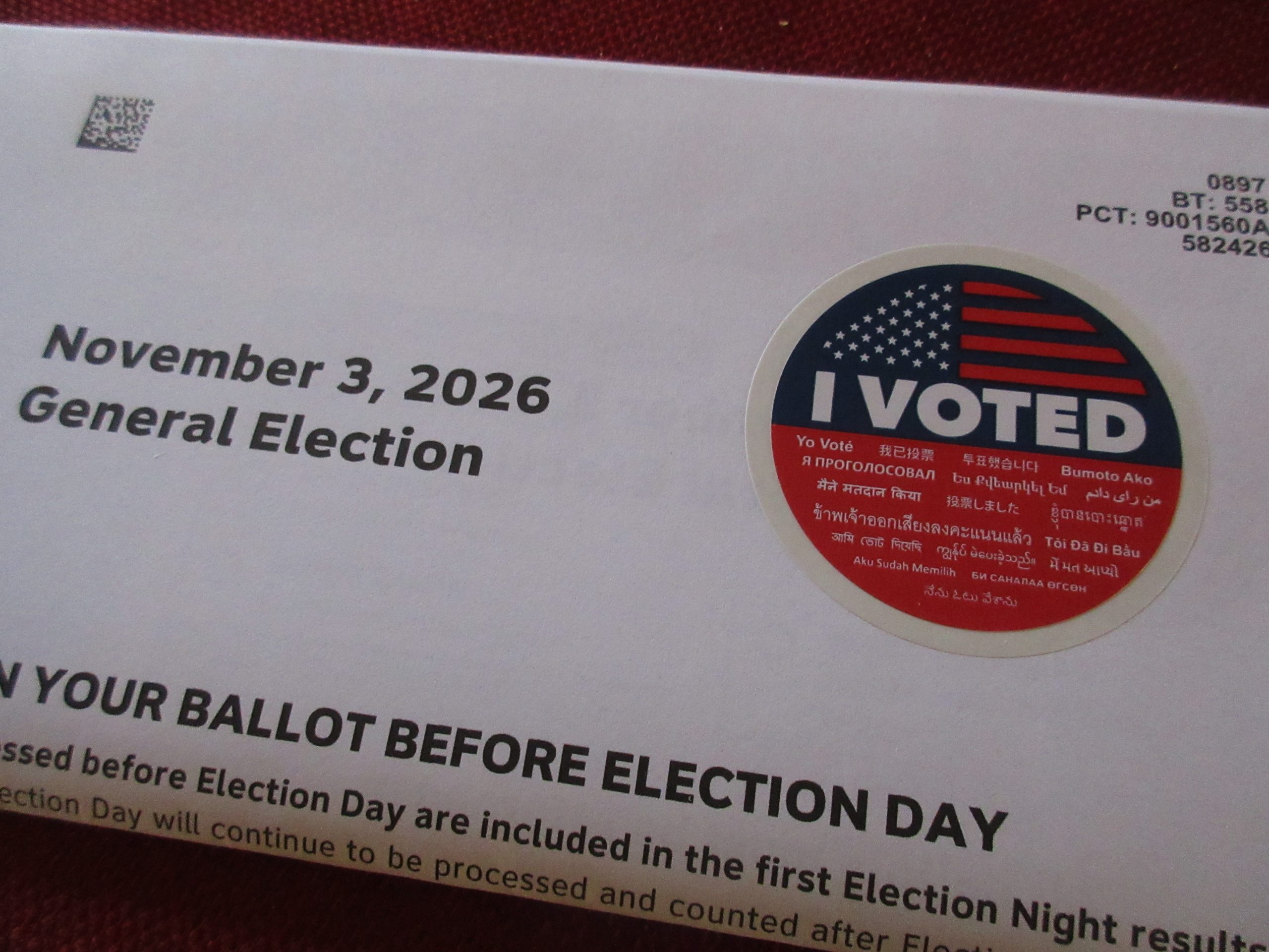 Read more about the article Vote!