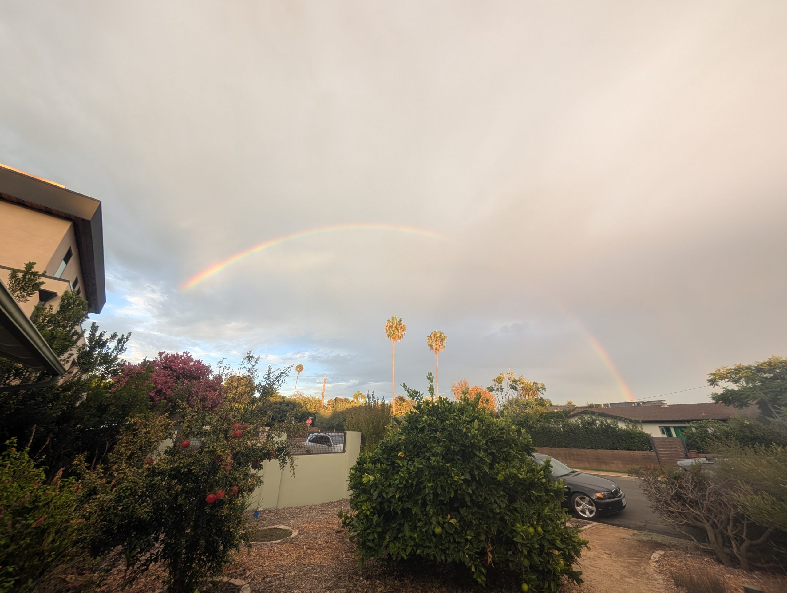 You are currently viewing Wordless Wednesday – Rainy Day Inspiration